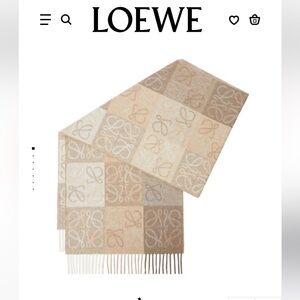 Loewe Scarf in Wool and Cashmere Beige and White